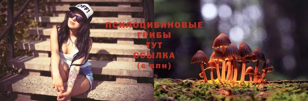 индика Богородицк