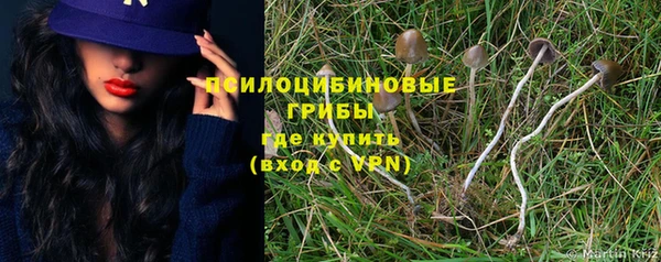 спиды Белокуриха