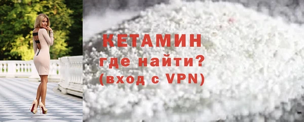 индика Богородицк