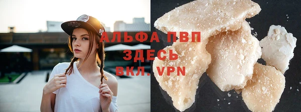 индика Богородицк