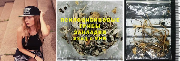 спиды Белокуриха