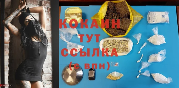 крисы Богородск
