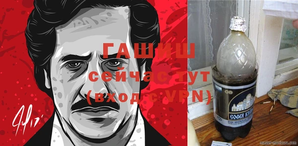 индика Богородицк