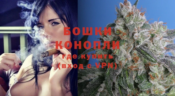крисы Богородск
