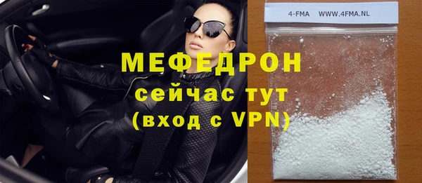 индика Богородицк