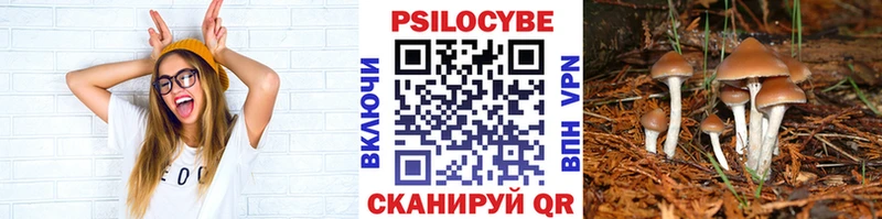 это формула  Бутурлиновка  Галлюциногенные грибы GOLDEN TEACHER 